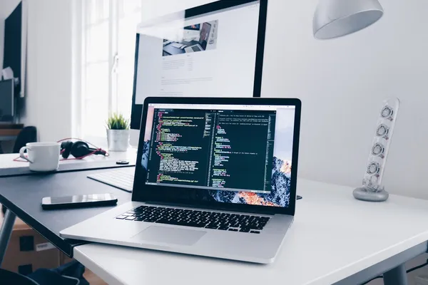 Primezone Hosting Platform - Website project by Samuel Mwanga in Tanzania
